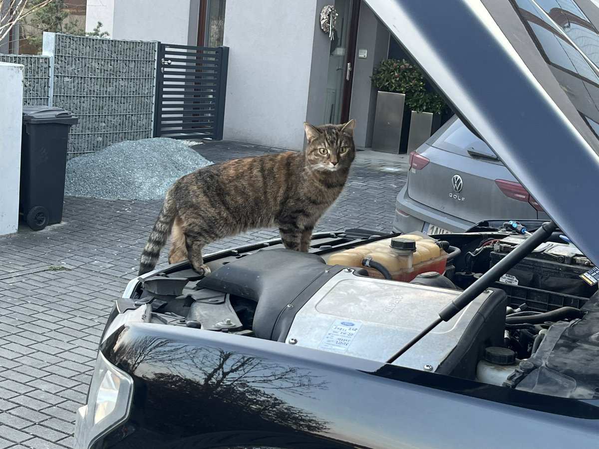 Vyměnit žárovku ??? 😸
Ano. Žádný problém. Hned se na to podívám 😄