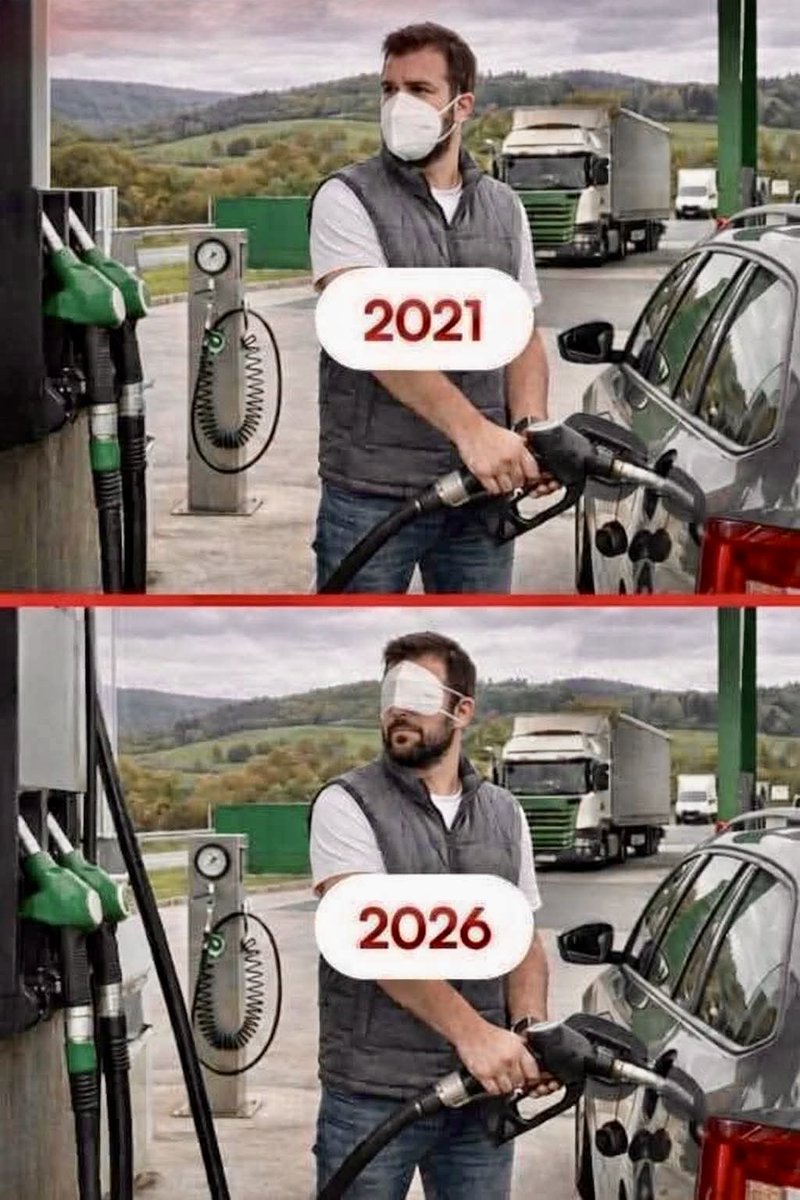 White Lion II (NDDN) Wittoslav Lionovski tweet media