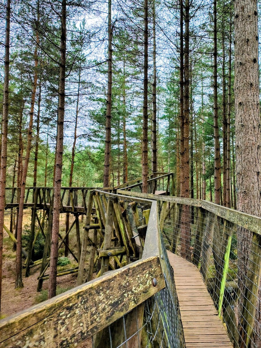 LadyGrace27's tweet image. Fresh air, quiet paths, and the simple joy of a day outdoors...🌿

#tuesdayvibe #OutdoorAdventure #NatureVibes #newforest