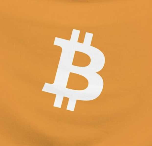 BitcoinTreasuries.NET tweet media