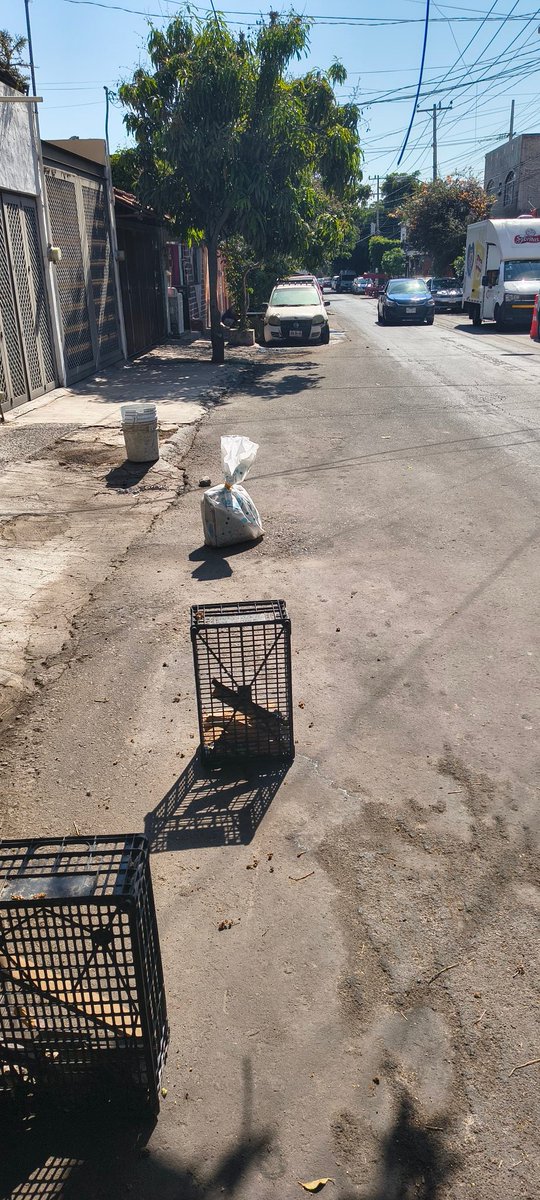 Poder AG Zapopan tweet media