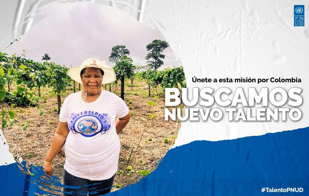 PnudColombia's tweet photo. Nuestro equipo en #PNUDCol está buscando nuevos integrantes para ser parte del #TalentoPNUD
- Equipos de Trituración/Extrusión: https://t.co/ggznHEqj03
- Diseñador/a Gráfico/a: https://t.co/GQnuADldBj
+ Ofertas laborales: https://t.co/m7m0mvjFtg
+ Ofertas adquisiciones: https://t.co/4EcQPuRtYd