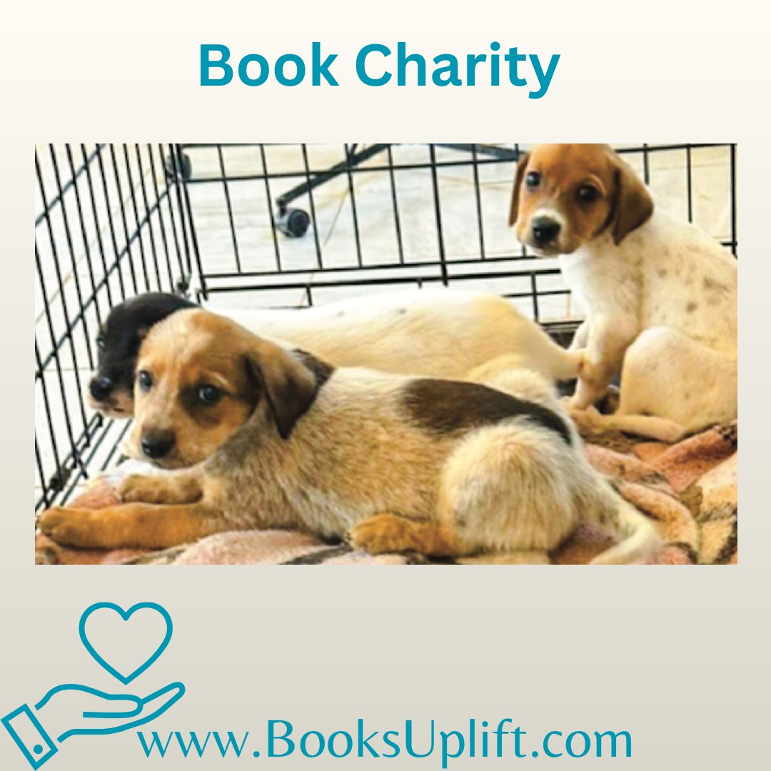 Kimberly tweet media