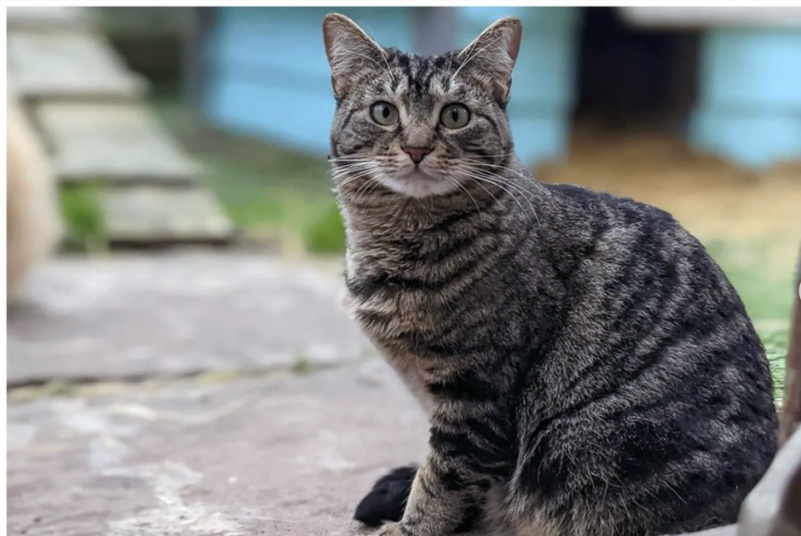 Richmond Women's Resource Centre tweet media