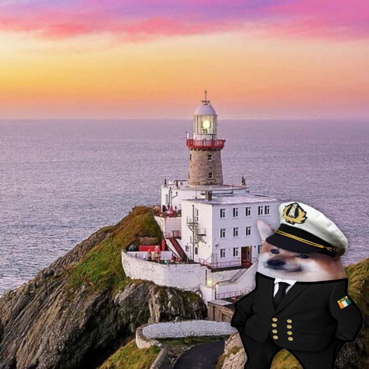 John Smith 🇺🇦🇬🇪 tweet media