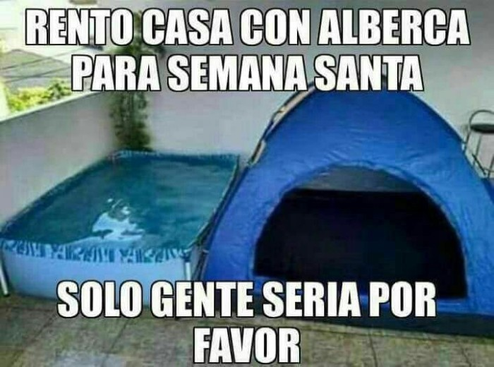 Mozzta 𝕏 tweet media