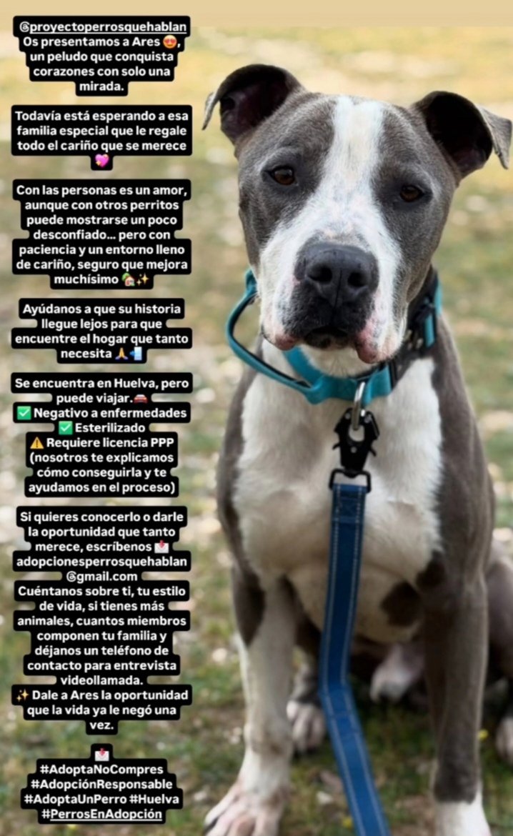 sonia 🐕🐶🐱🐅🦓🐷🦌🐮🐄🐒🐩🐂🦃🐴🐃🦛🦁🐐🌱💚🇵🇸 tweet media