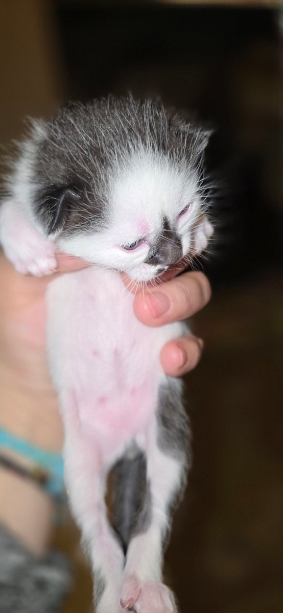 ლი🦋ზი tweet media