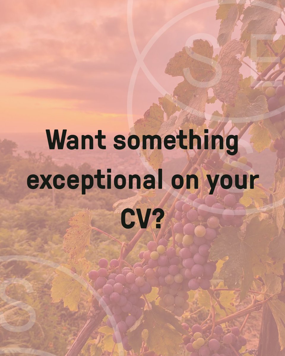 Stockholm School of Entrepreneurship tweet media