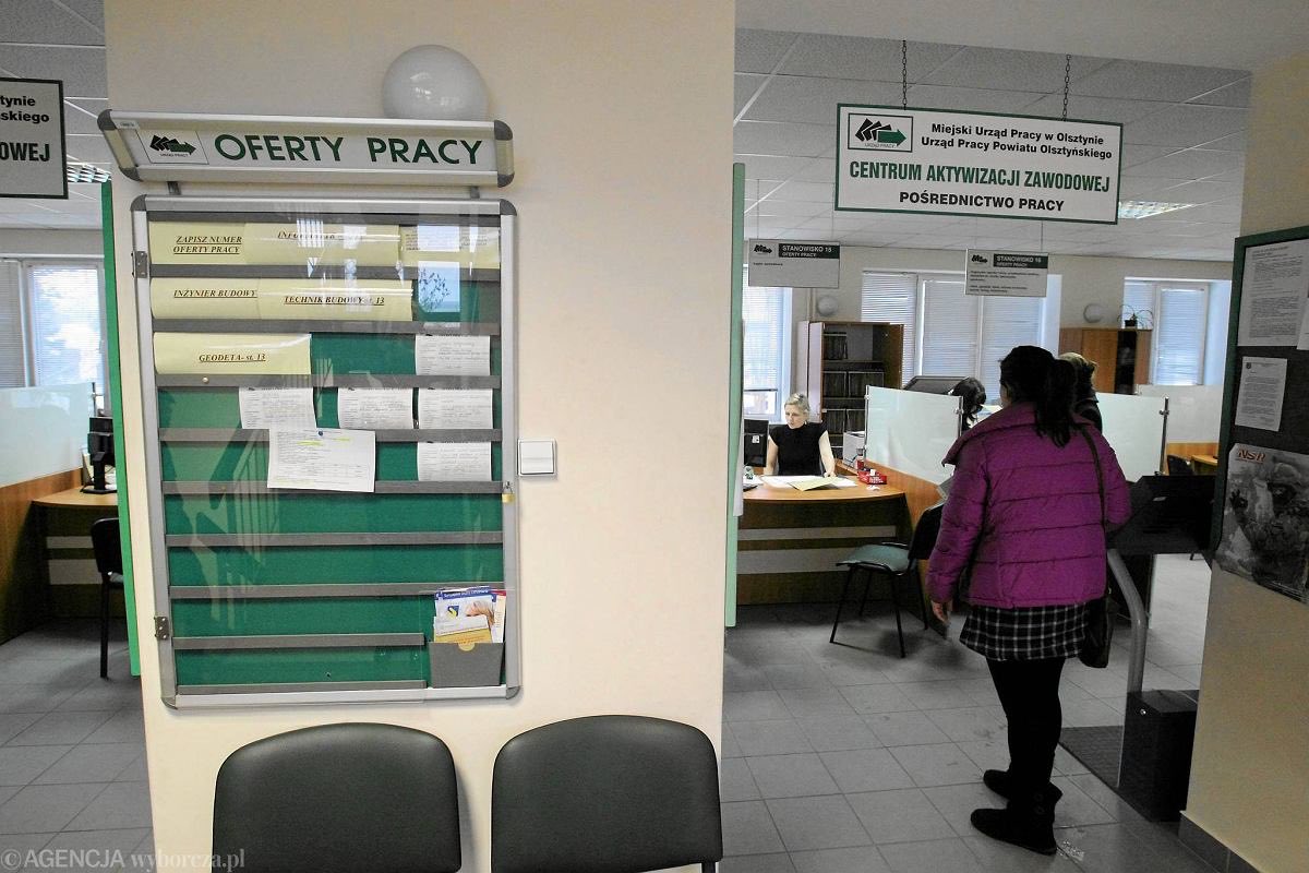 Kamil Mroczek tweet media