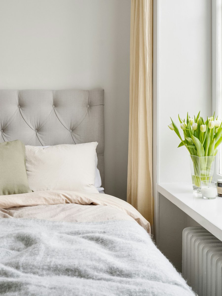 BedInABox.com tweet media