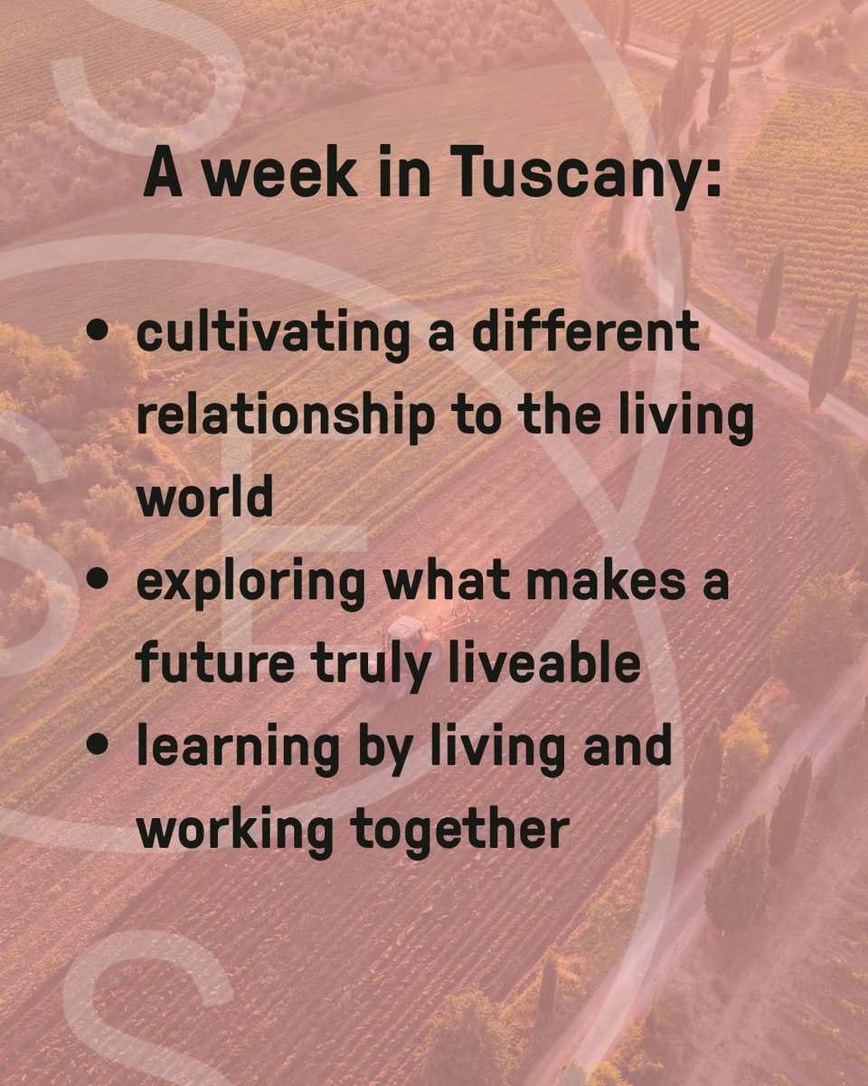 Stockholm School of Entrepreneurship tweet media