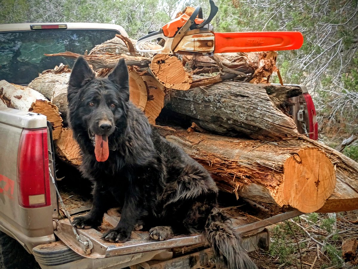 Cimarron Ranch - 1776 tweet media