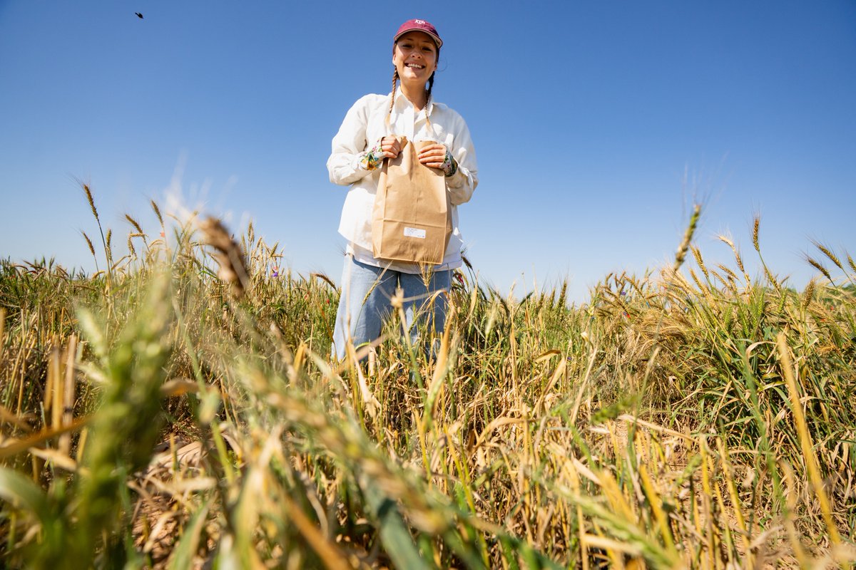 Texas A&M AgriLife tweet media