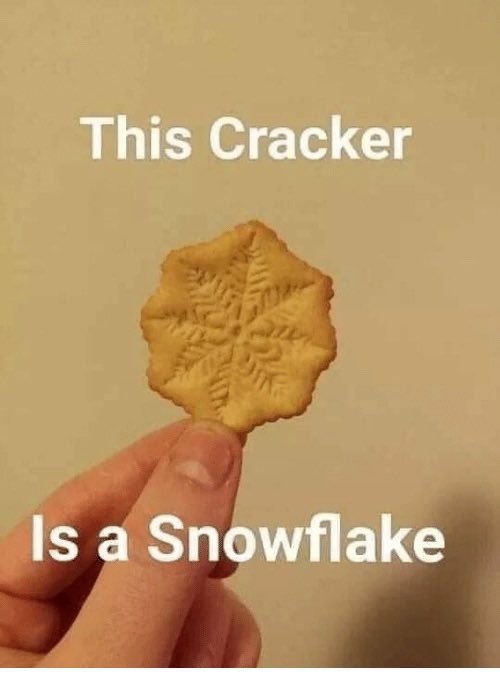 the noticer tweet media