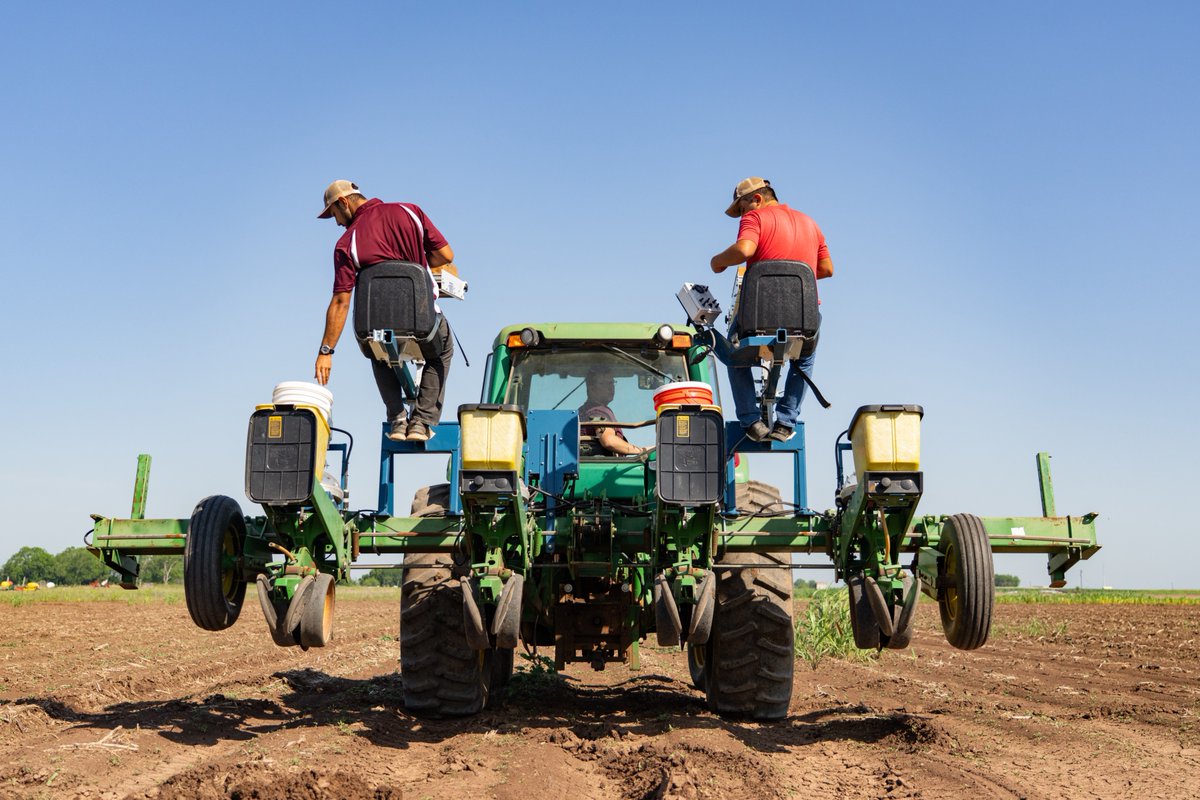 Texas A&M AgriLife tweet media