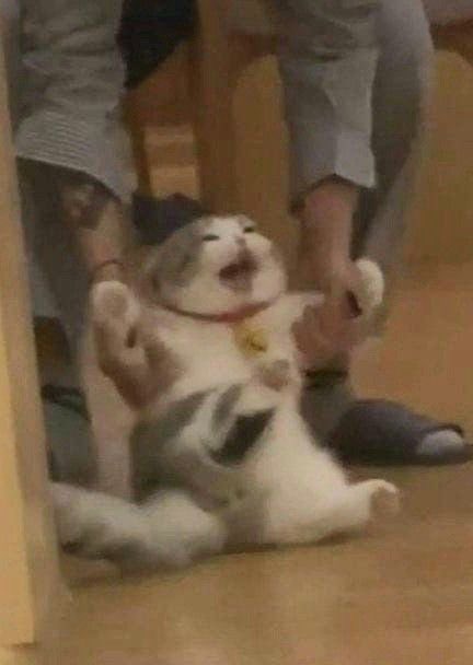 𝙅𝙚𝙟𝙚 tweet media