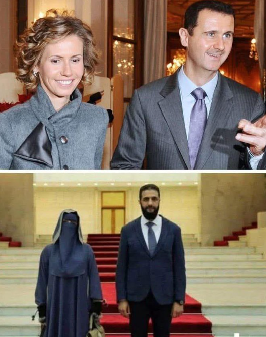 Paolo Becchi tweet media