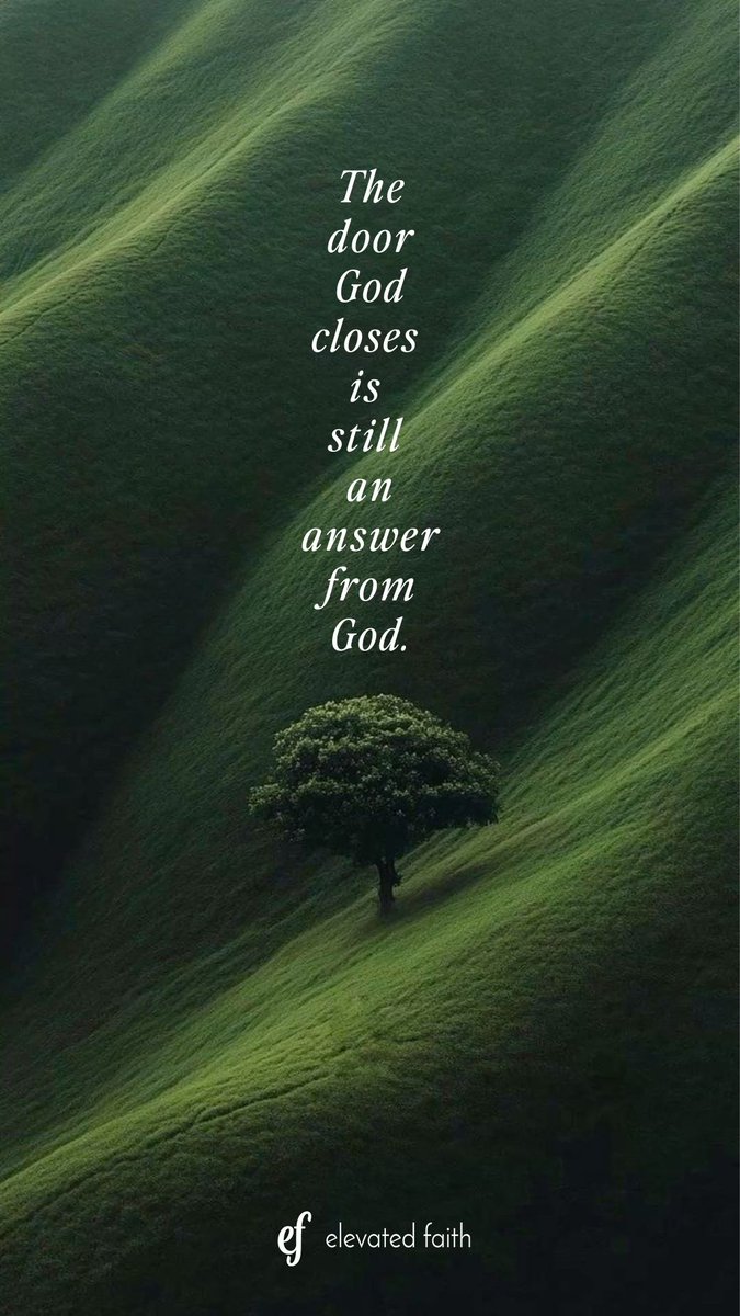 Elevated Faith tweet media