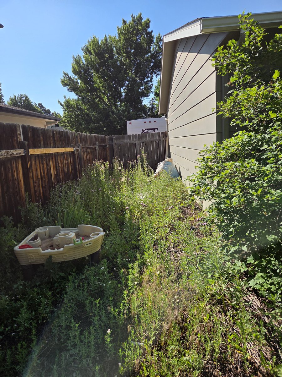 Kimberlee Carter tweet media