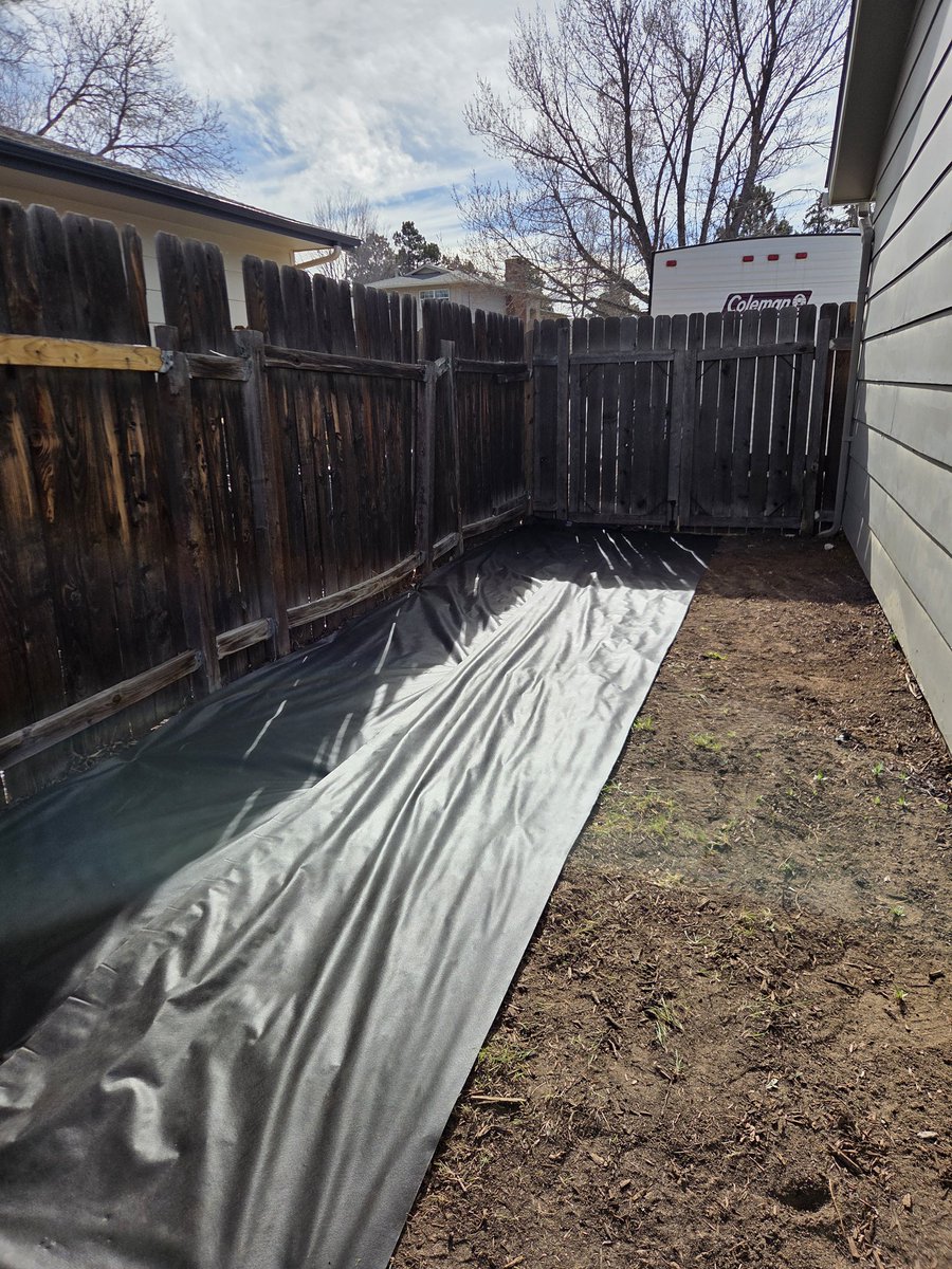 Kimberlee Carter tweet media