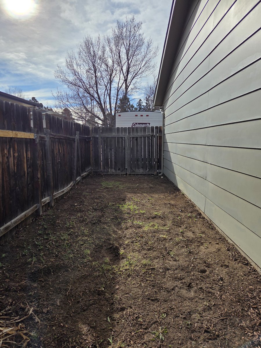 Kimberlee Carter tweet media