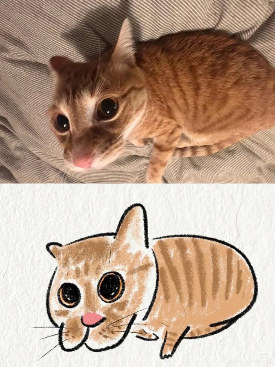 Гена Гена tweet media