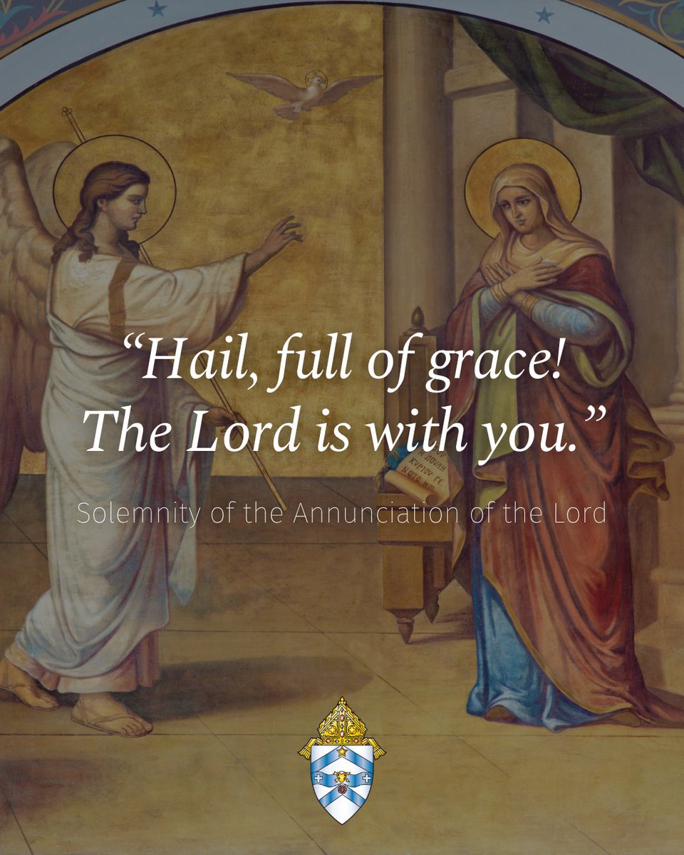 Diocese of Austin tweet media