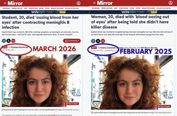 Lulu Bowen tweet media