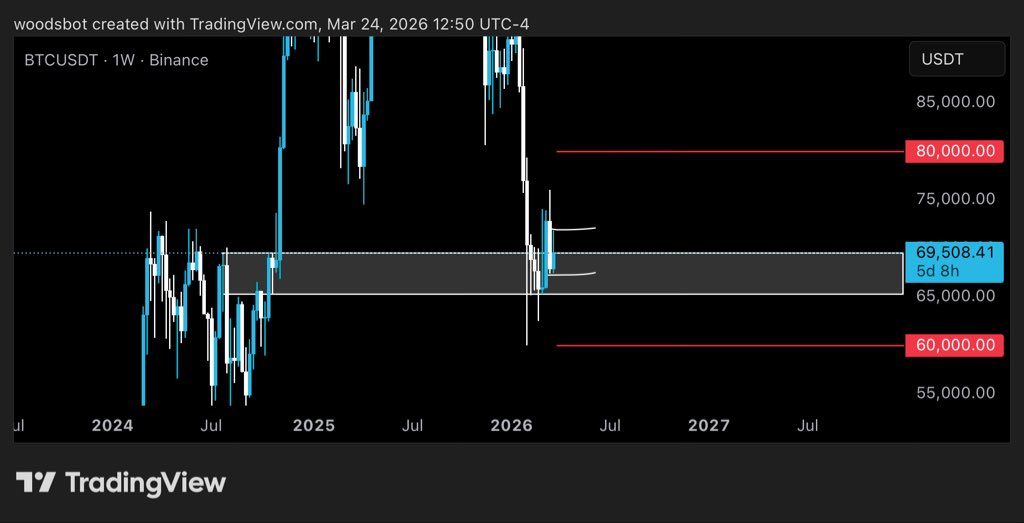 woods.ai tweet media