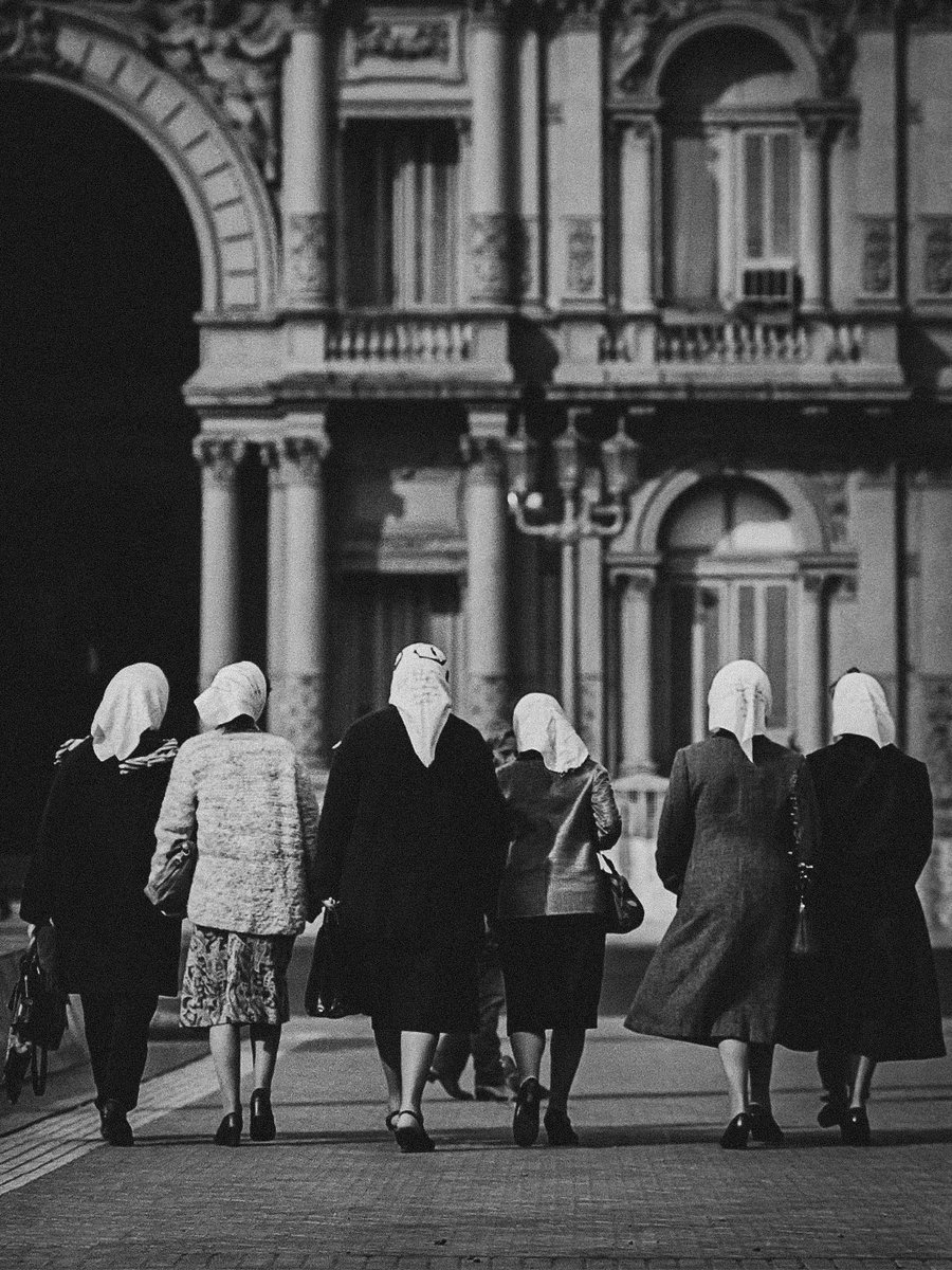 Civiltà Australe tweet media