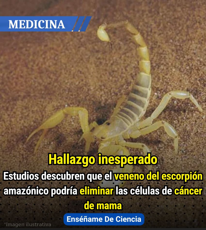 Enséñame de Ciencia tweet media