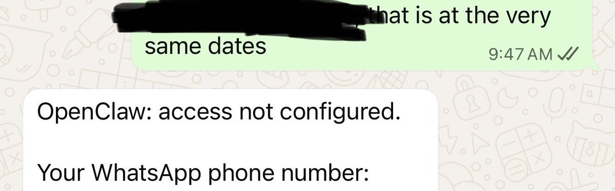 Peter Steinberger 🦞 tweet media