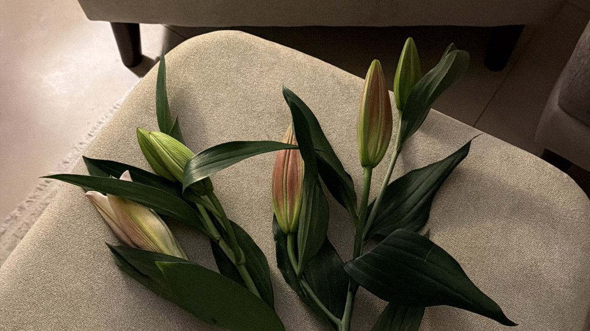 نُور | 👩🏻‍🎓 tweet media