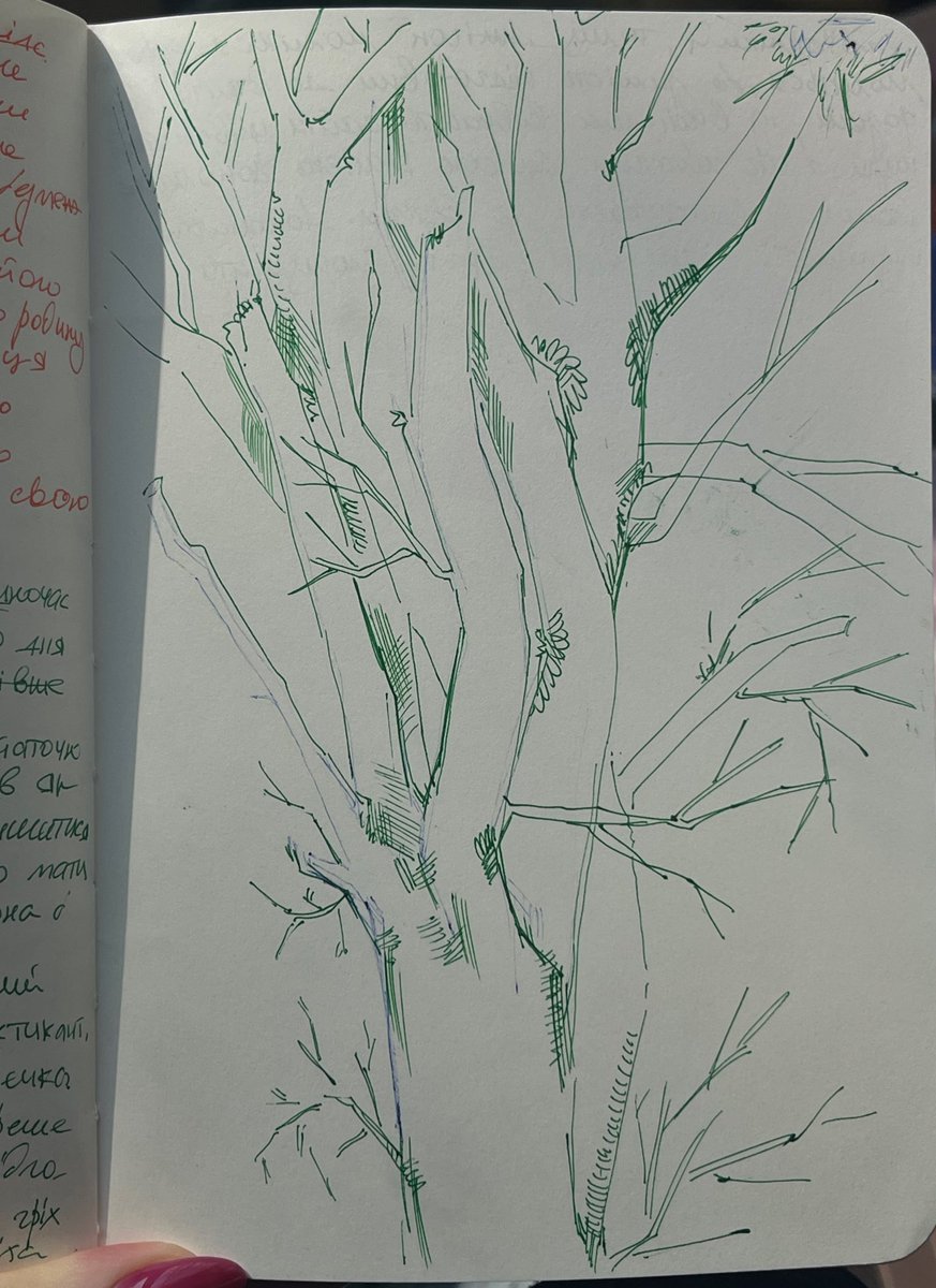 мoisa🫧 tweet media