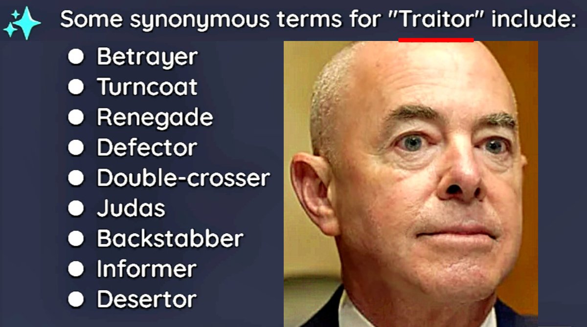 Todd4America 🇺🇸 🇮🇱 tweet media