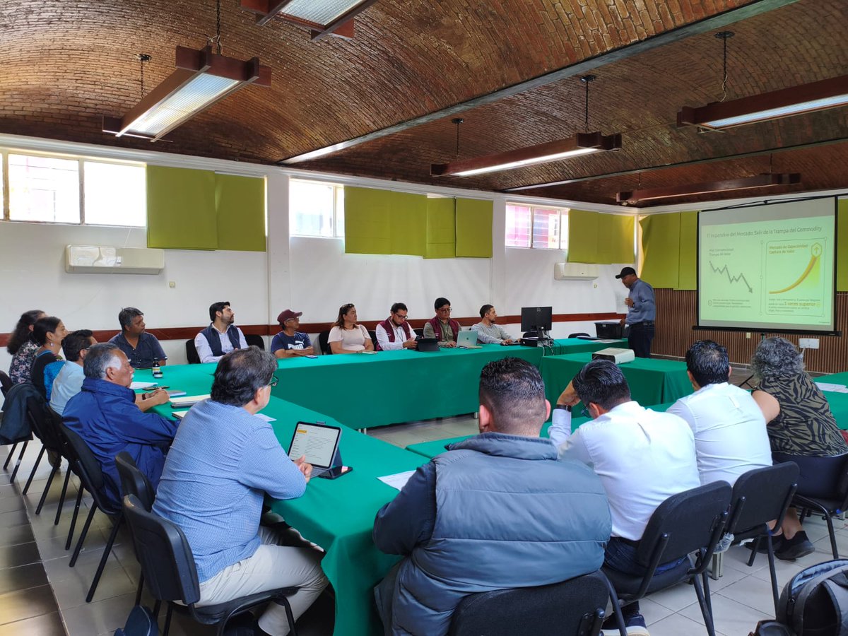 Colpos_Ver's tweet photo. 🐝 El 23 de marzo se realizó una reunión en la Secretaría de Agricultura y Desarrollo Rural – Veracruz sobre protección de la biodiversidad.
Se impulsan propuestas para programas públicos que reconozcan la importancia de la polinización.
#Biodiversidad #Colpos #Polinización 🌿 https://t.co/x6pOw2Slhp