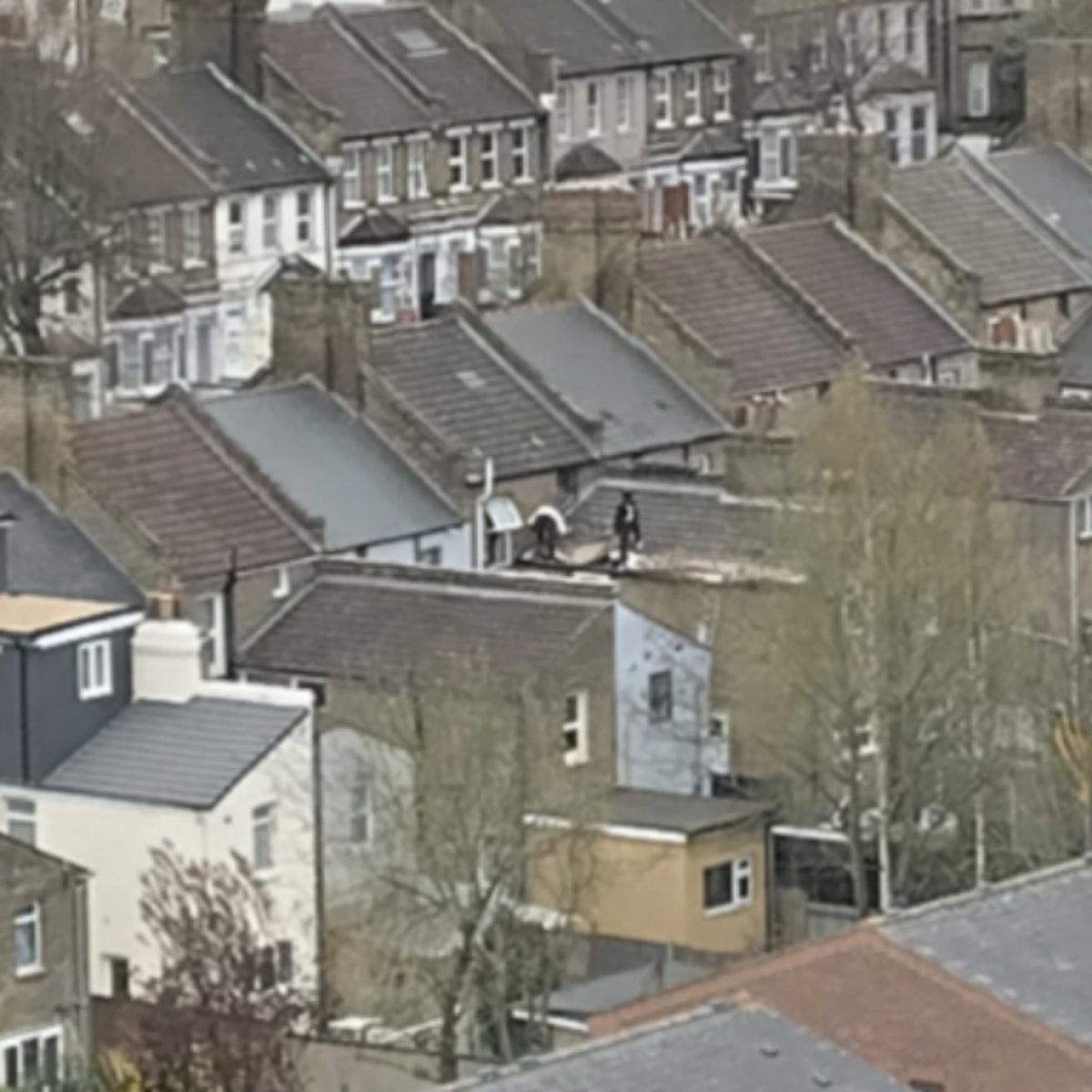 NitramPmats tweet media