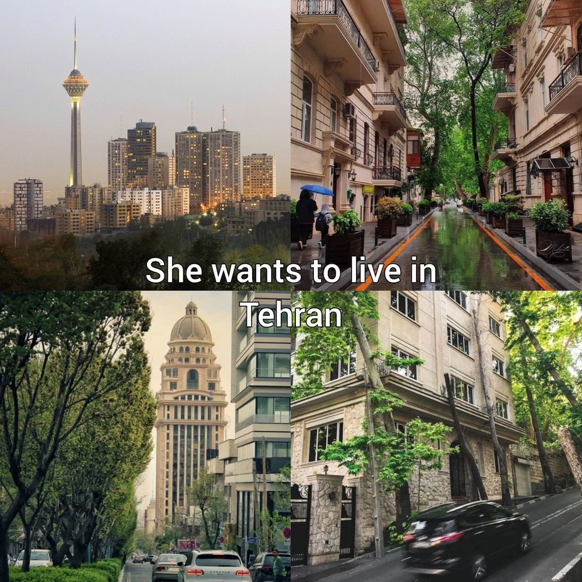 دانیال tweet media