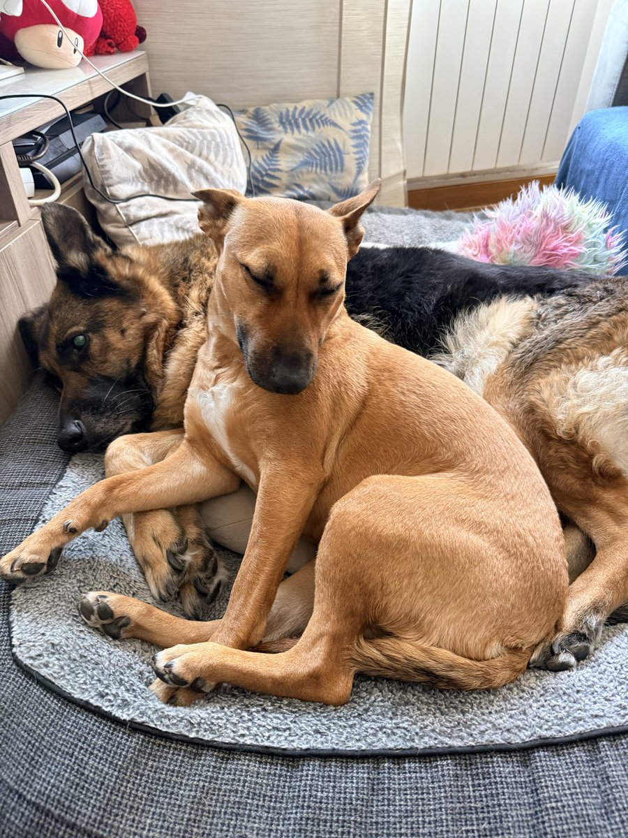 Jimmyfumi tweet media