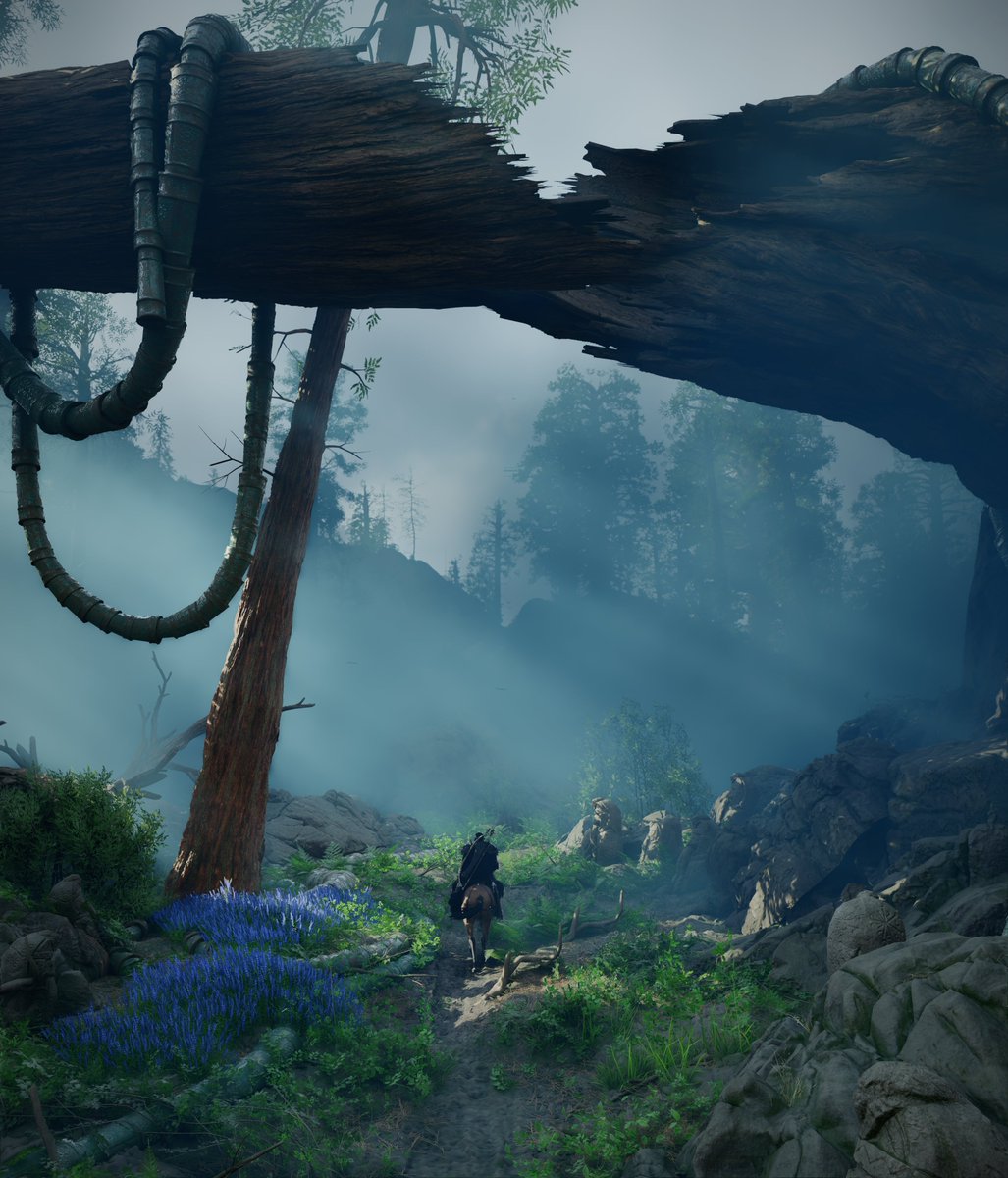 Larah Johnson tweet media