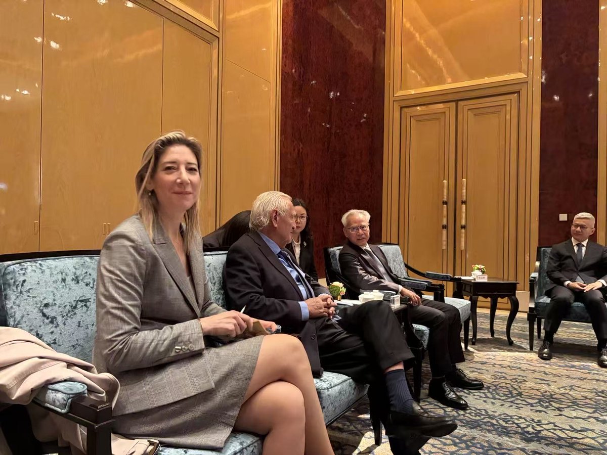 Jean-Pierre Raffarin tweet media