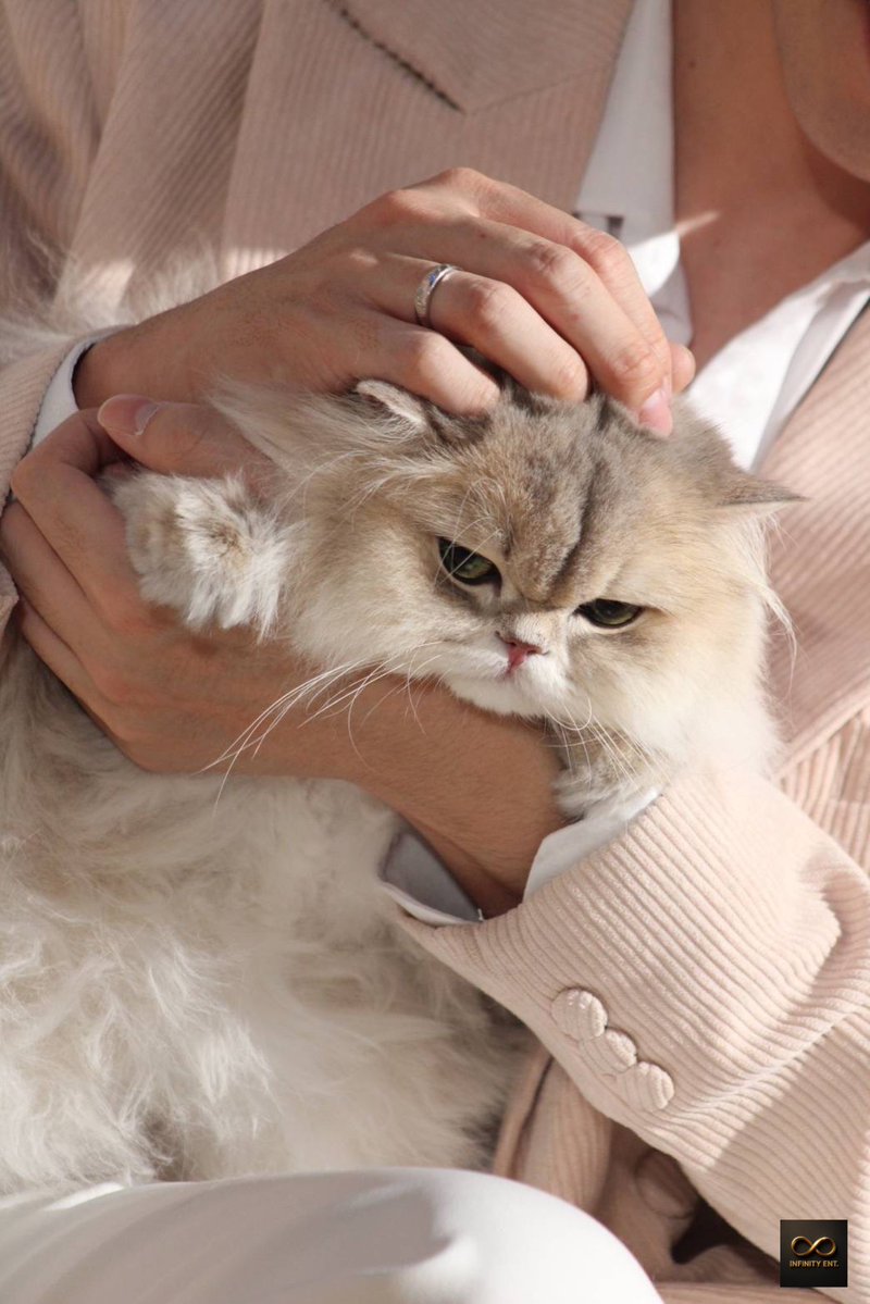 INFINITY ENT tweet media