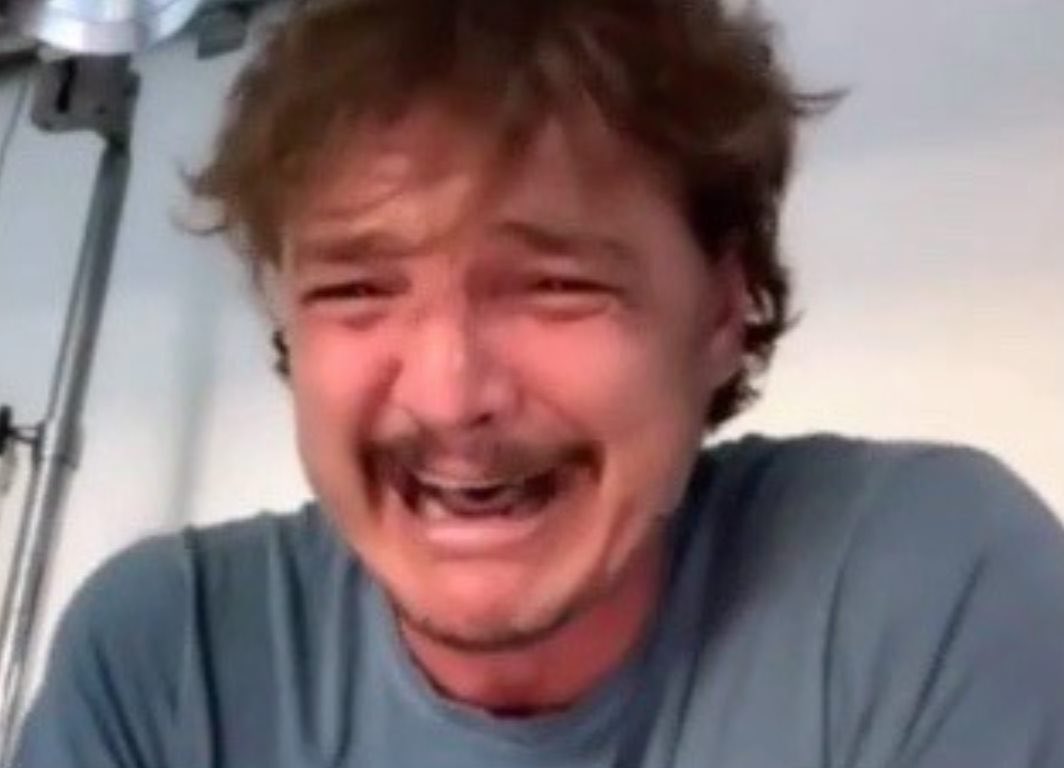 Perseide tweet media