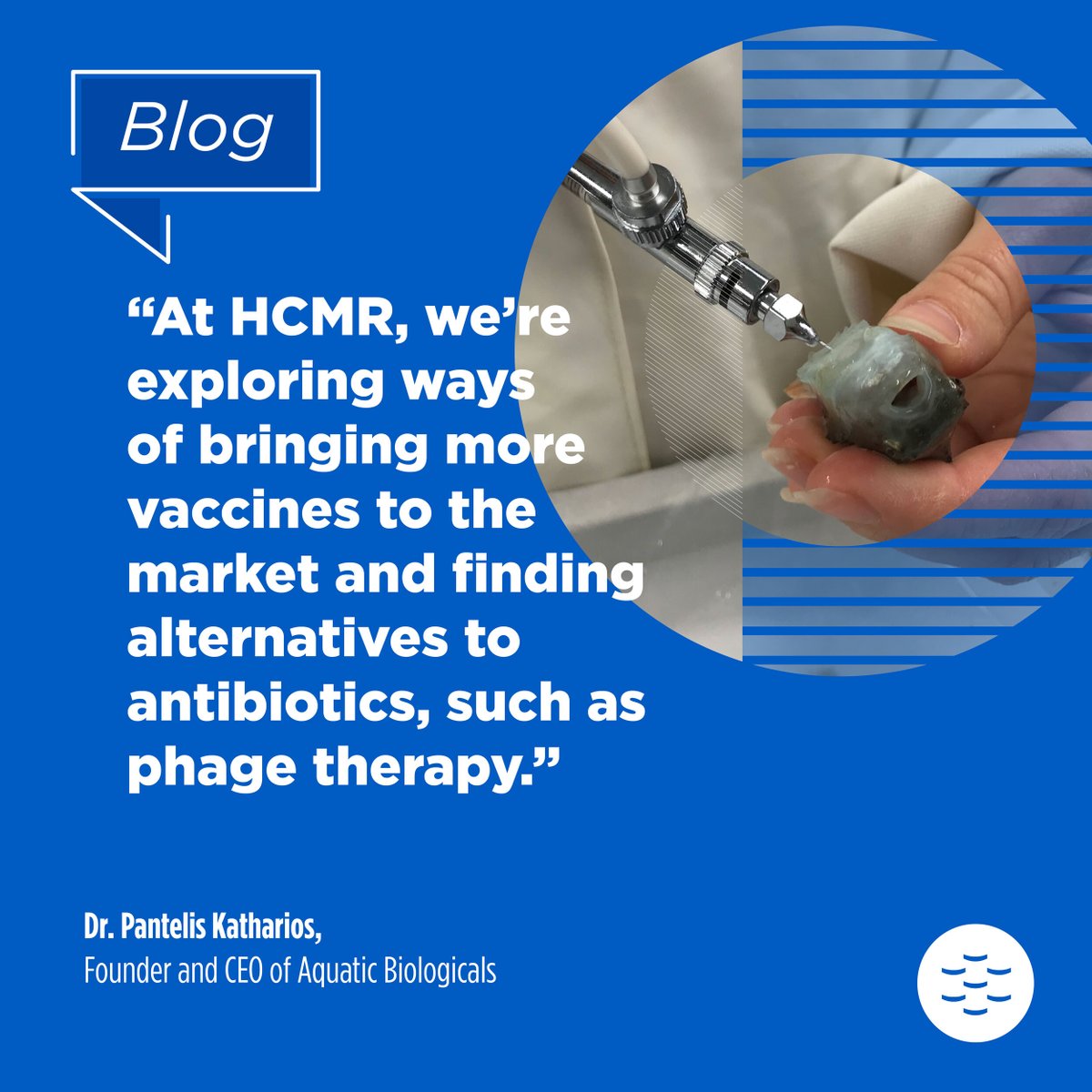 EMBRC_EU's tweet photo. #EMBRCBlog 🔬 How research infarstructures advance marine aquaculture? 🐟
Through our network, EMBRC Greece is helping to develop:
● autogenous vaccines
● phages as disinfectants for fish hatcheries
● alternatives to antibiotics
Read the Q&A with Dr. Pantelis Katharios, Founder & CEO of Aquatic Biologicals https://t.co/0GKhJLQyiG
@HcmrImbbc