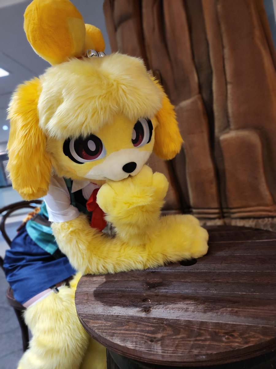 ▪︎Cosplay Mutt▪︎🔜CFZ tweet media