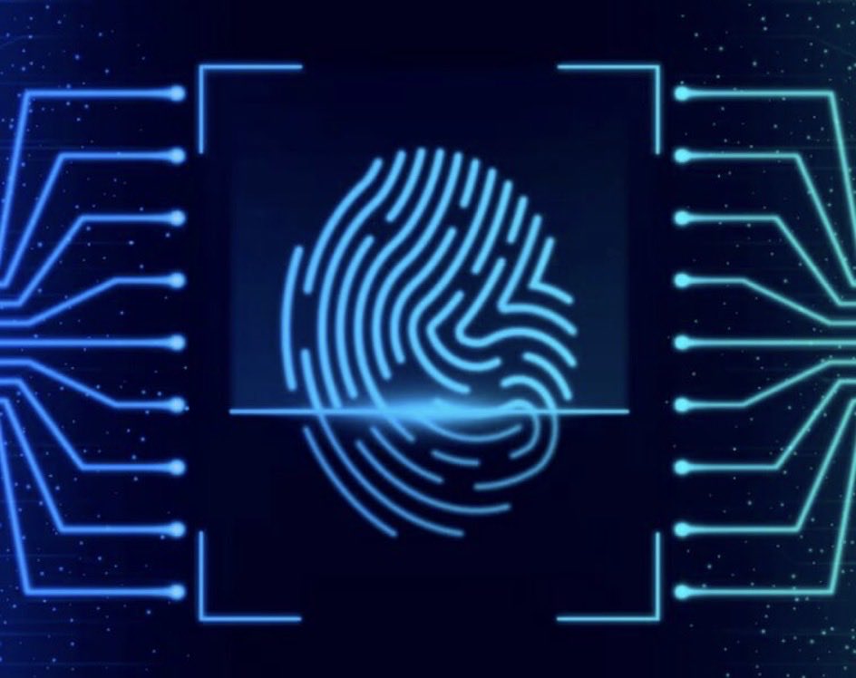 internautas tweet media