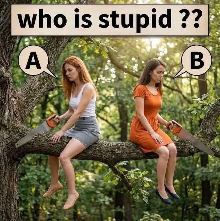 Elizabeth❣️ tweet media