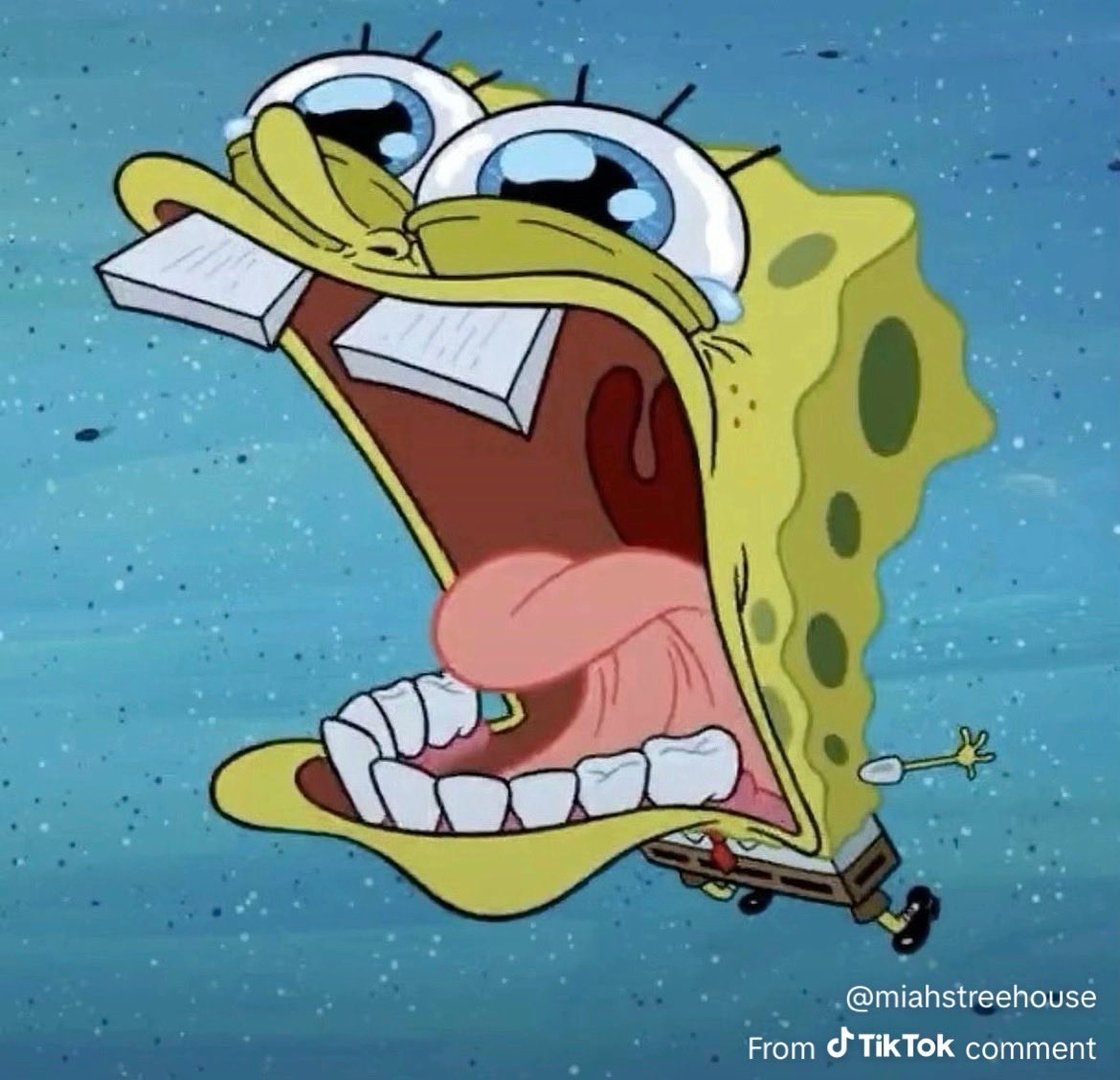 Chris.p_and_clean tweet media