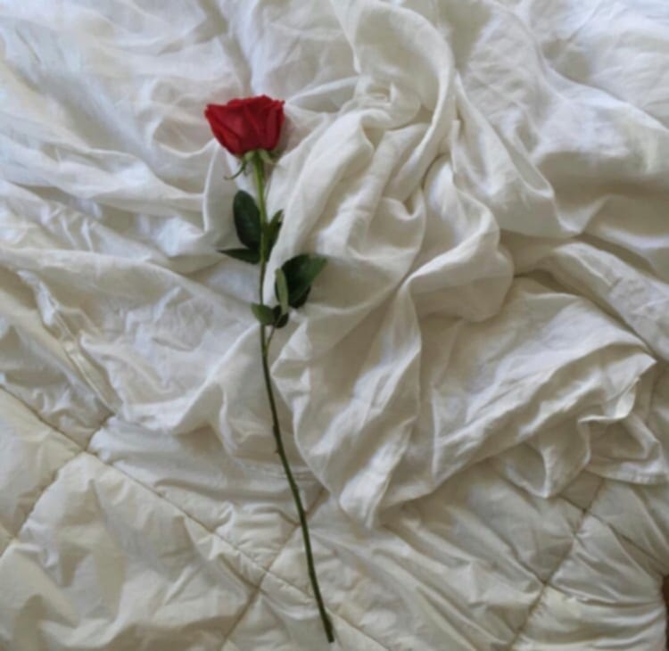 Jorge Moreira tweet media